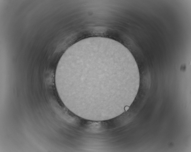 X0000113940083200911061251