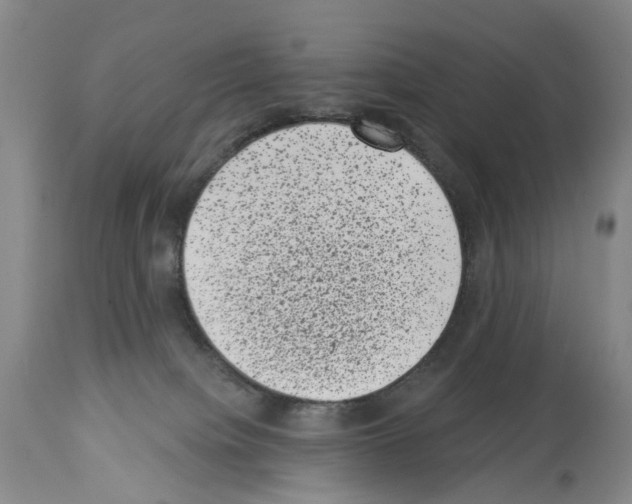 X0000113940084200911061251
