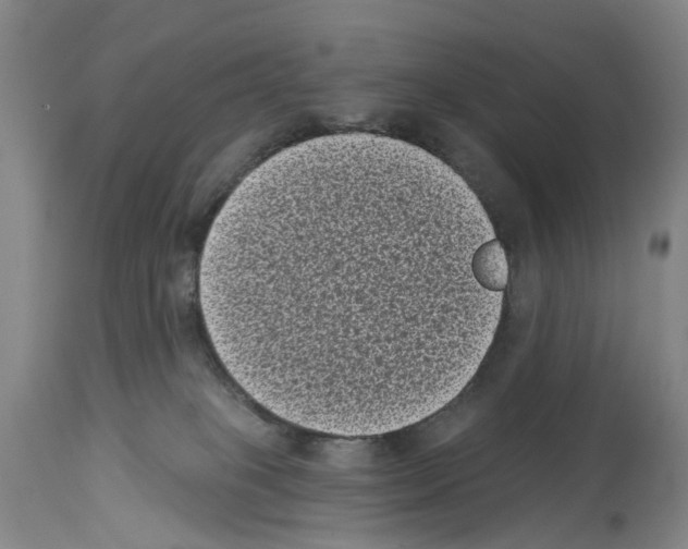 X0000113940085200911061251