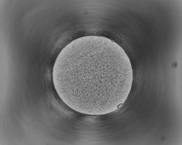 X0000113940086200911061251