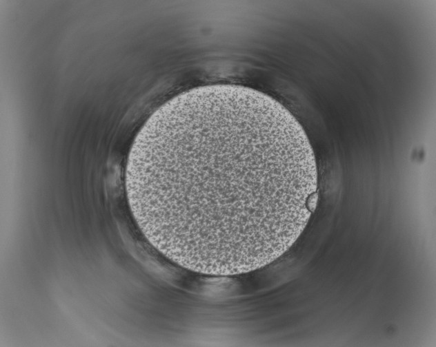 X0000113940087200911061251