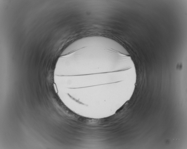 X0000113940088200911061251