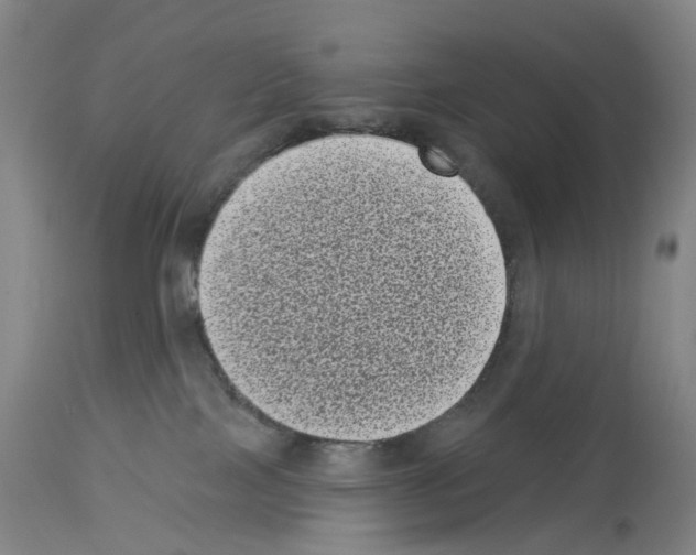 X0000113940089200911061251