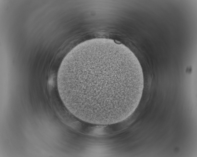 X0000113940090200911061251