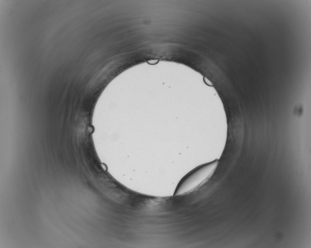 X0000113940092200911061251