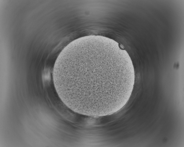 X0000113940094200911061251