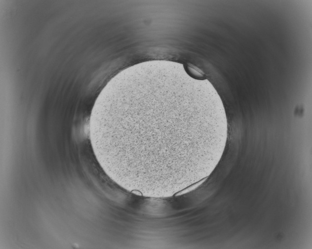 X0000113940095200911061251