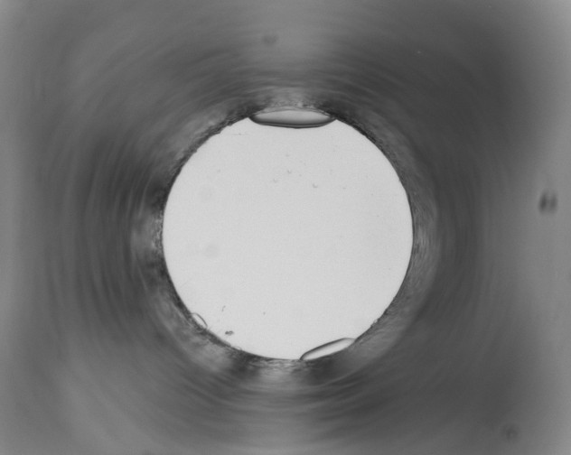 X0000113940096200911061251