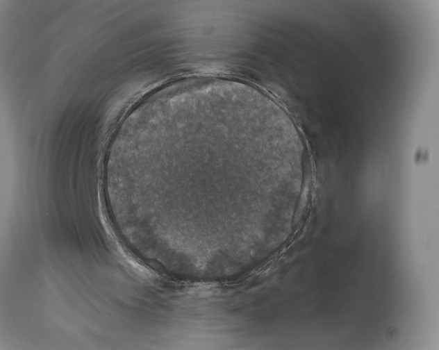 X0000113940097200911061250