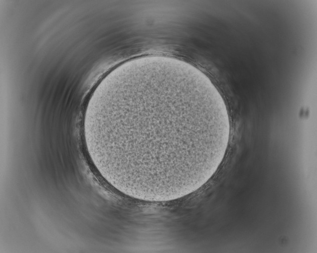 X0000113940098200911061250