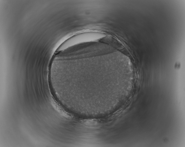 X0000113940100200911061250
