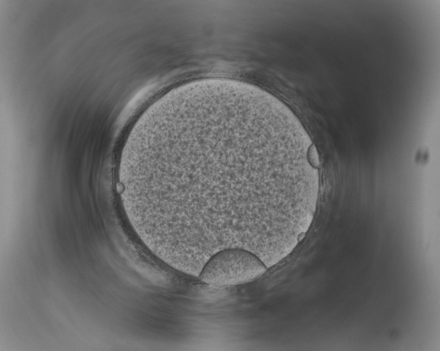 X0000113940102200911061250