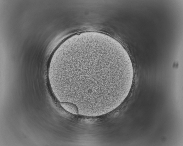 X0000113940103200911061250