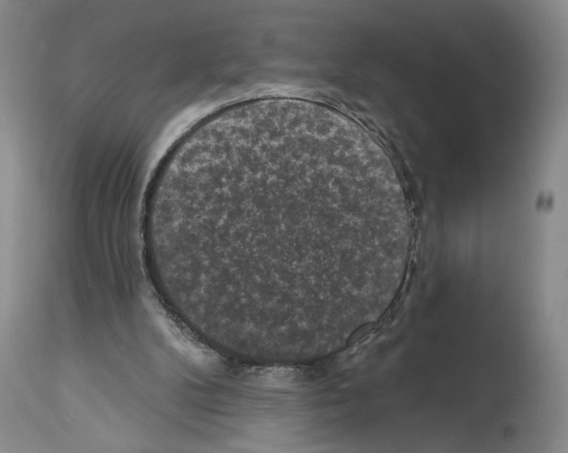 X0000113940104200911061250