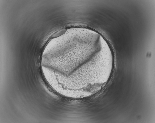 X0000113940105200911061250