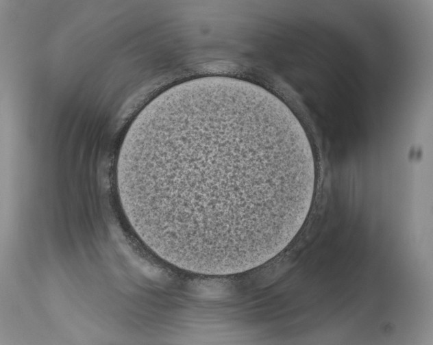X0000113940106200911061250