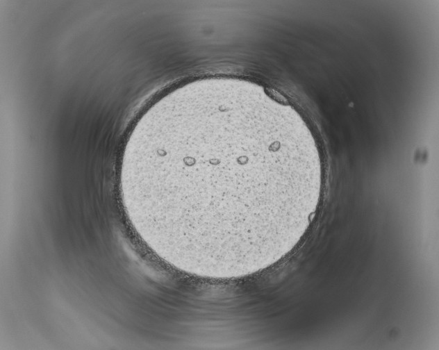X0000113940107200911061250