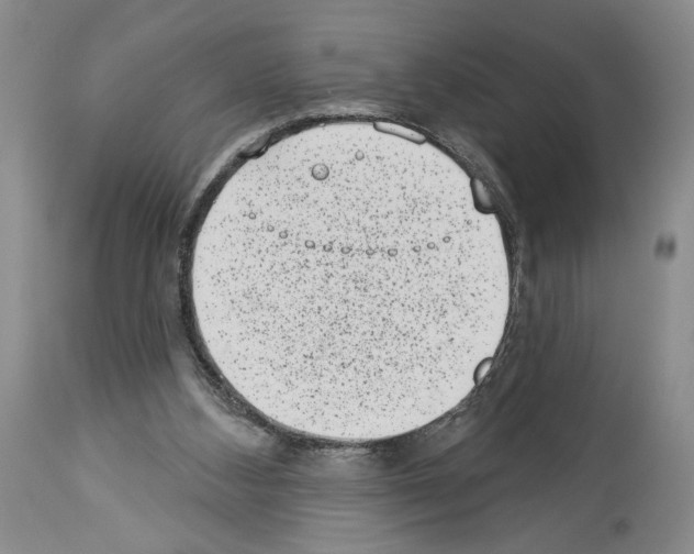 X0000113940108200911061250