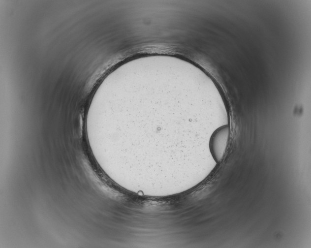 X0000113940109200911061250