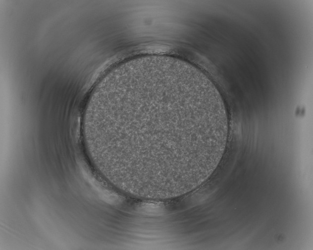 X0000113940110200911061250