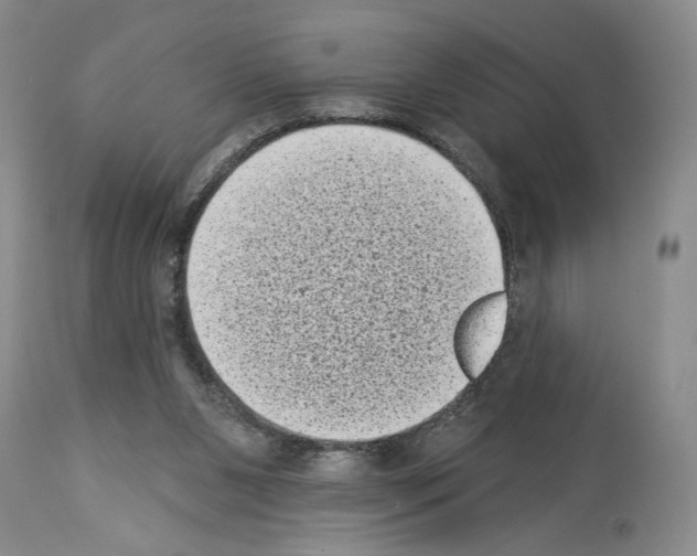 X0000113940111200911061250