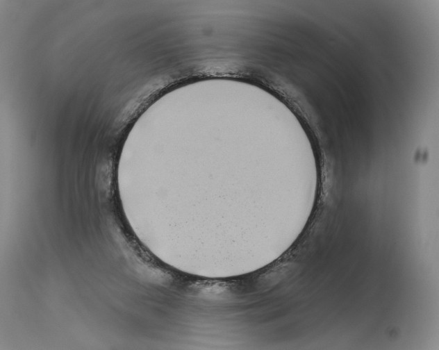 X0000113940113200911061250