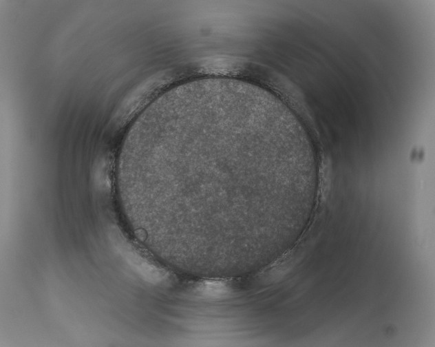 X0000113940114200911061250