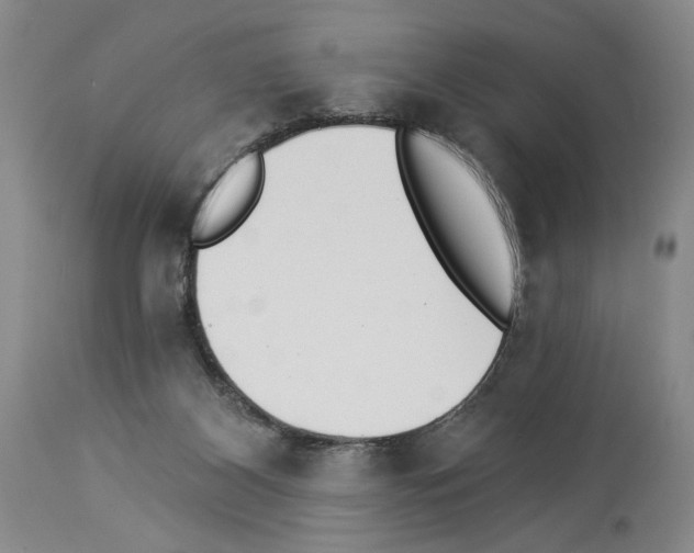X0000113940116200911061250