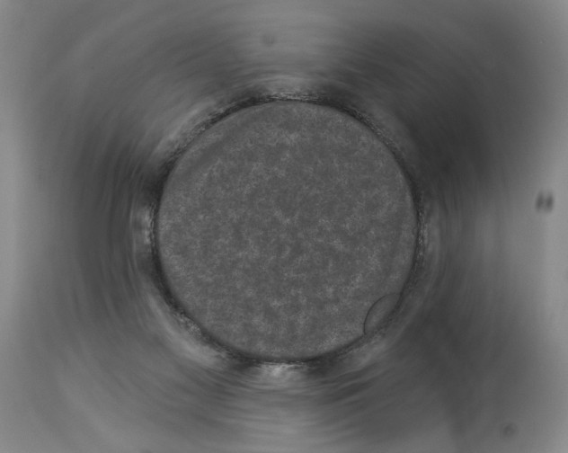X0000113940117200911061250