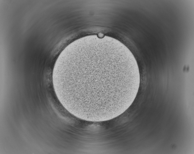 X0000113940119200911061250