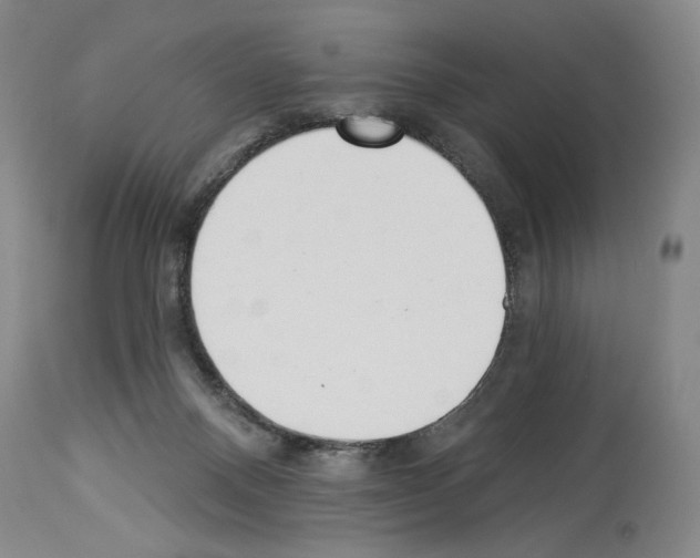 X0000113940120200911061250