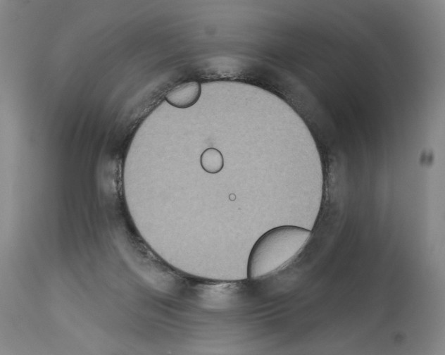 X0000113940122200911061250