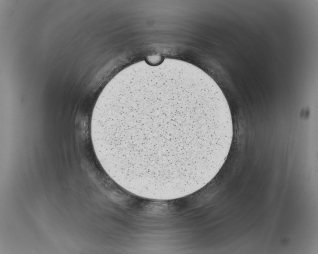 X0000113940123200911061250