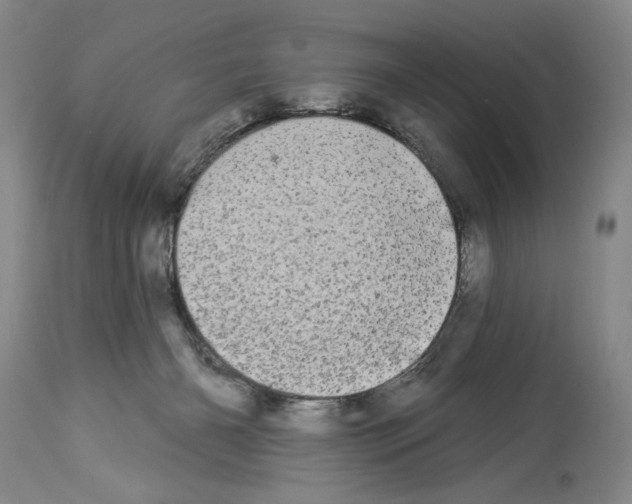 X0000113940126200911061250
