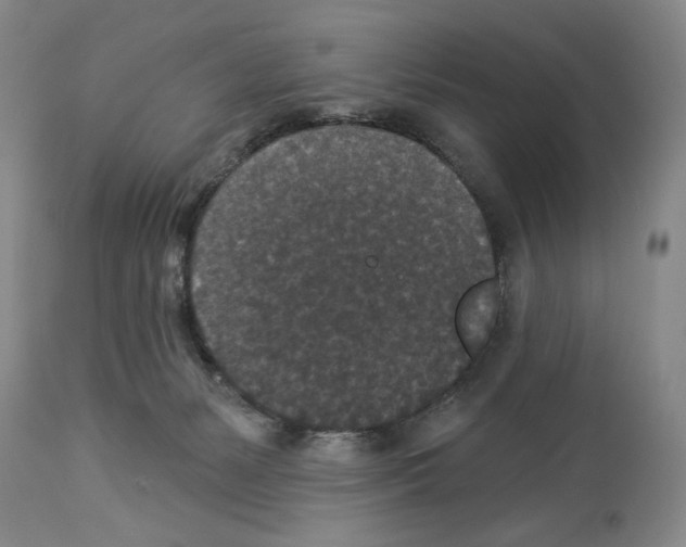 X0000113940127200911061250