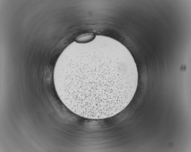 X0000113940129200911061250