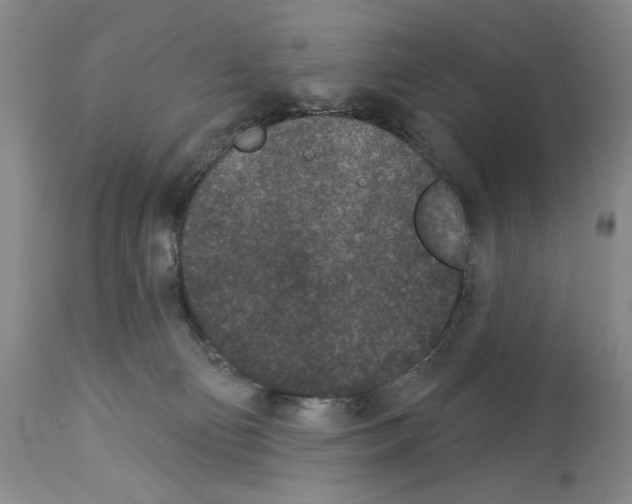 X0000113940130200911061250