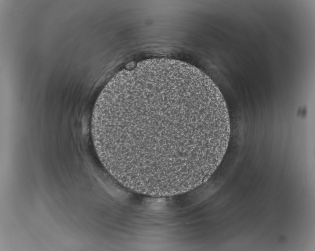 X0000113940131200911061250