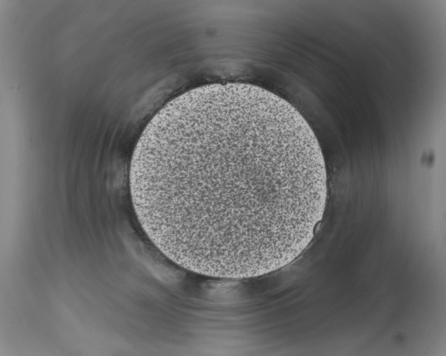 X0000113940132200911061250