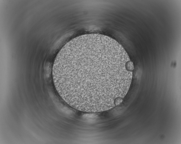 X0000113940133200911061250