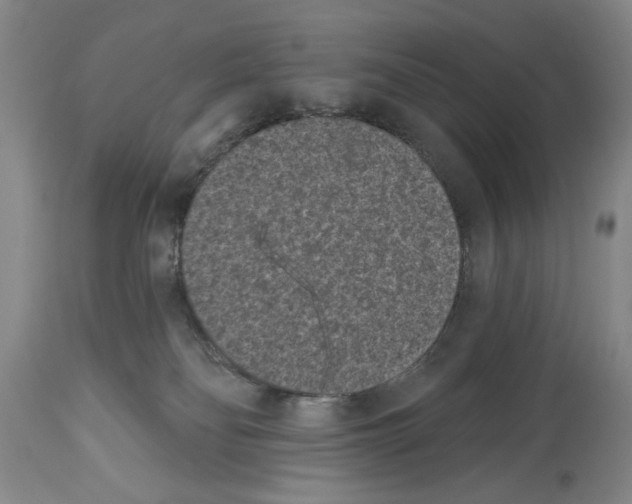 X0000113940134200911061250