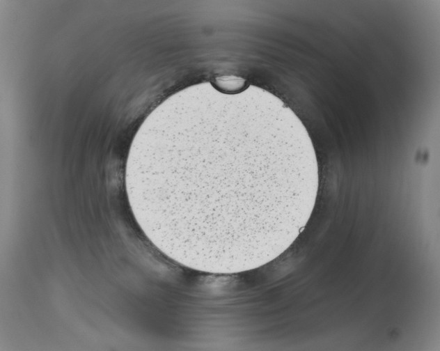 X0000113940135200911061250