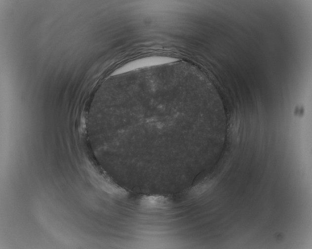 X0000113940137200911061250