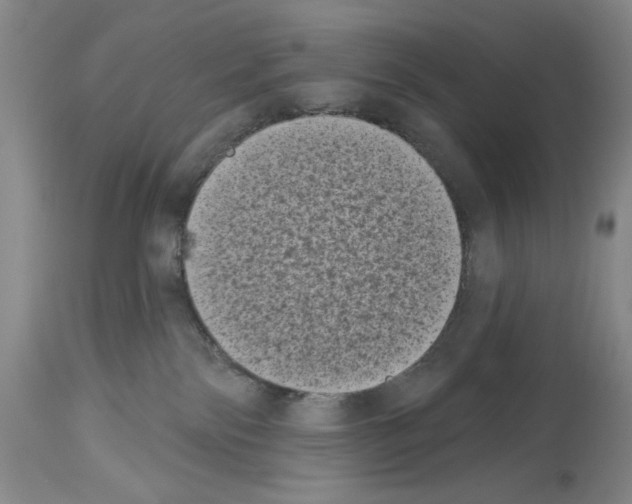 X0000113940138200911061250
