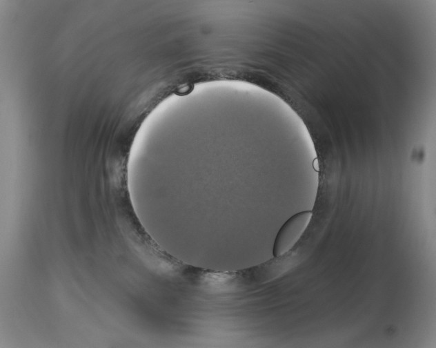 X0000113940139200911061250