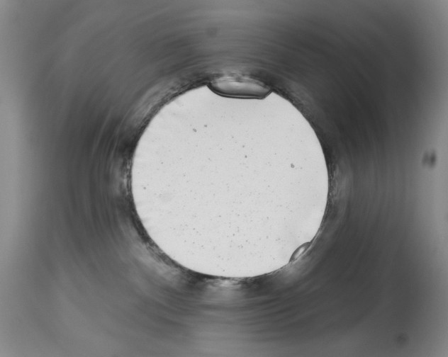 X0000113940140200911061250