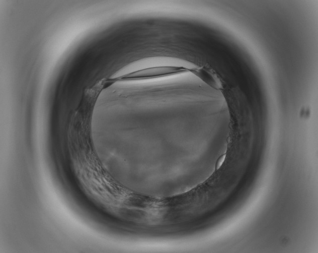 X0000113940143200911061250