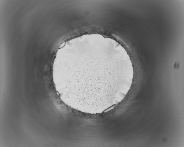 X0000113940144200911061250