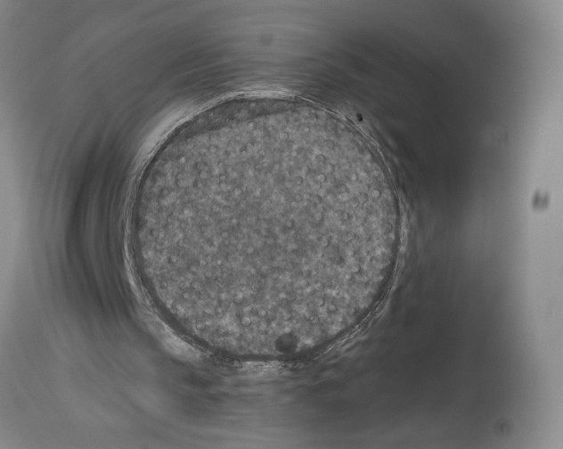 X0000113940145200911061249