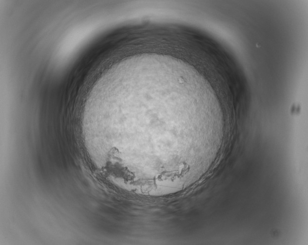 X0000113940146200911061249